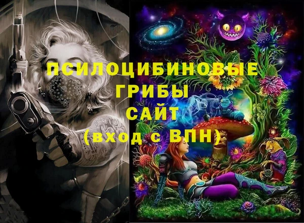 стаф Алексеевка