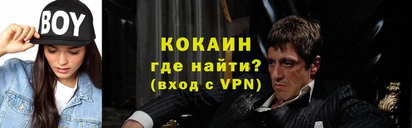 шишки Абаза