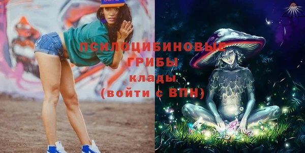 стаф Алексеевка